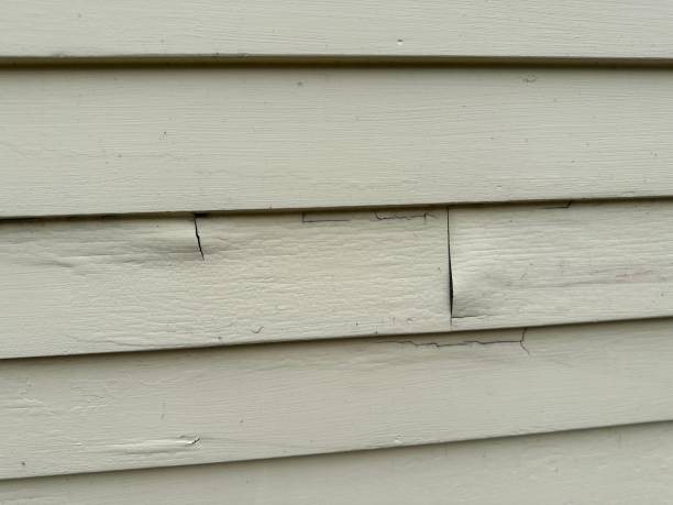 Best Historical Building Siding Restoration  in Ivyland, PA